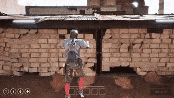 Decimated GIF
