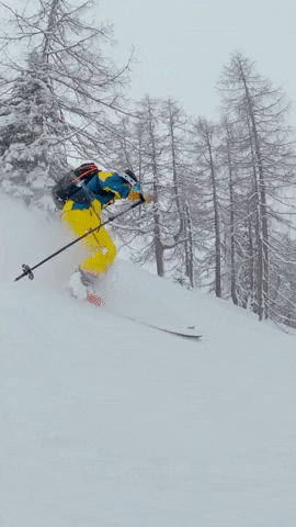 HaganSki GIF