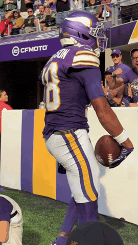 Touchdown Jets GIF by Minnesota Vikings