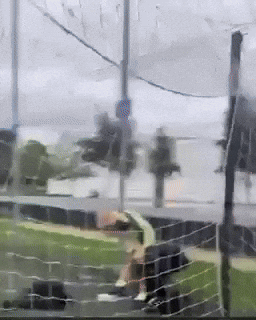 Mark Rudy GIF