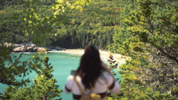 National Park Acadia GIF by Chris