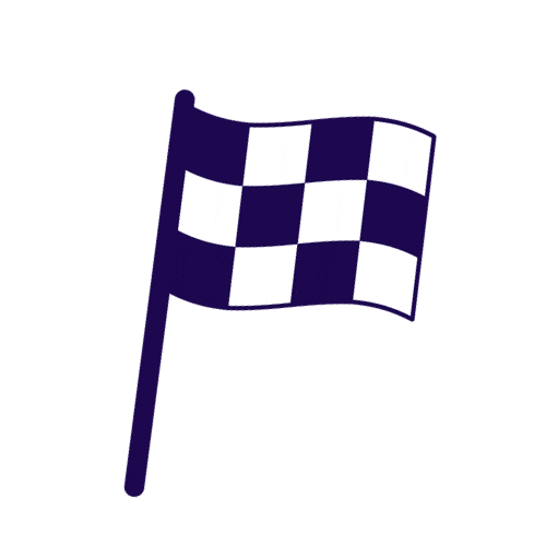 Flag Chequeredflag Sticker by wcrf