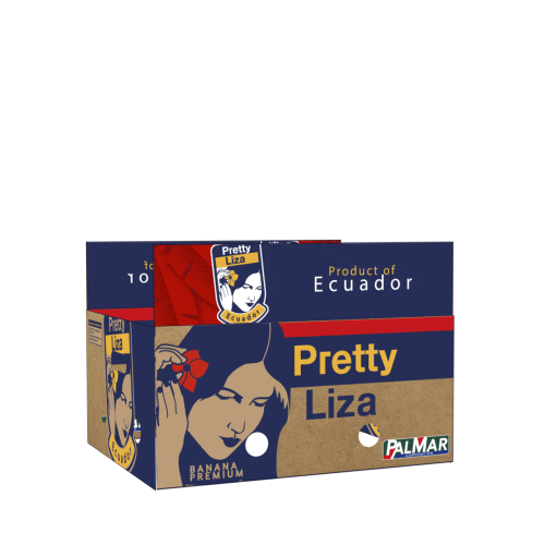 Corporación Palmar Sticker