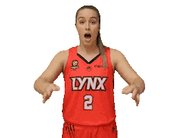 Sticker by Perth Lynx