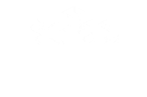 Platinum University Sticker
