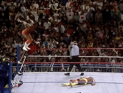 Randy Savage Sport GIF by WWE - Find & Share on GIPHY