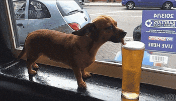 https://media4.giphy.com/media/zrj0yPfw3kGTS/200.gif?cid=95b279449e93bf3dc15fae6fcb2f4831120e60a079a37e00&amp;rid=200.gif&amp;ct=g