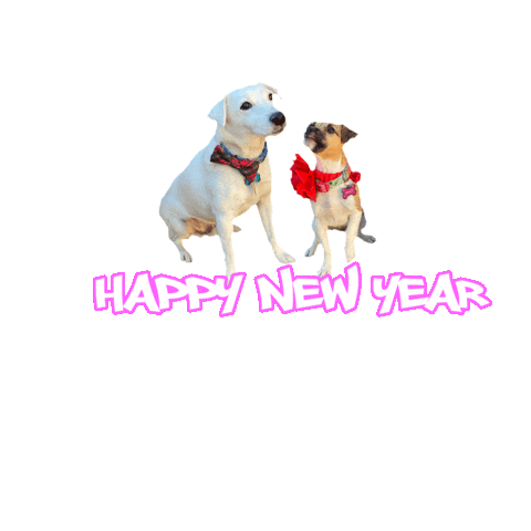 New Year Dogs Sticker by TORRESgraphics
