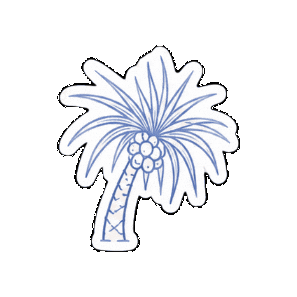 Palm Byronbay Sticker by Double Shot Studio