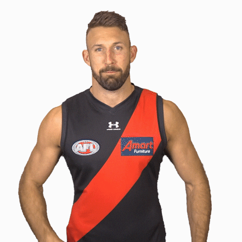 Cale Hooker Football GIF by Essendon FC