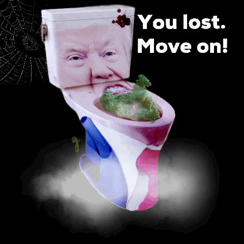 transgreaser trump election lost loser GIF