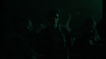 Tamino GIF