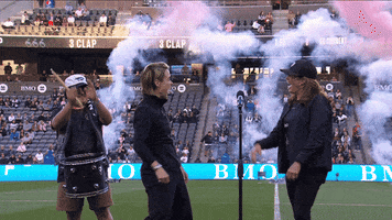 High Five Los Angeles GIF by National Women's Soccer League