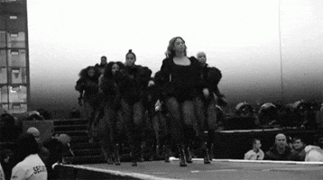 Beyhive GIF