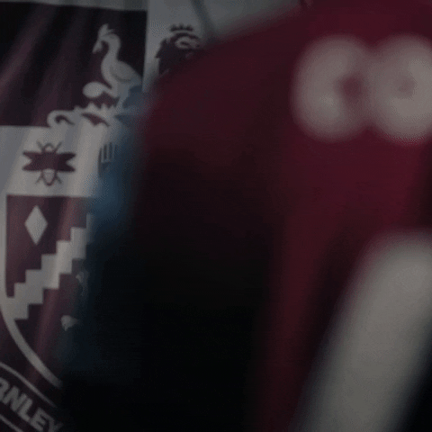 Premier League Flag GIF by Burnley Football Club