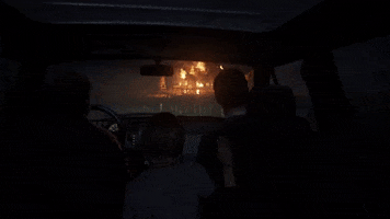 Burning The Last Of Us GIF by Naughty Dog