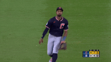 Sport Celebrate GIF by MLB
