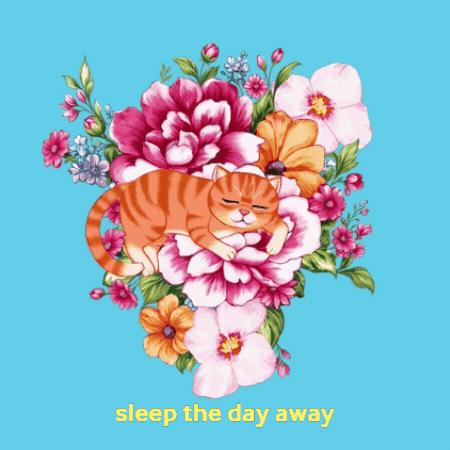 Cat GIF