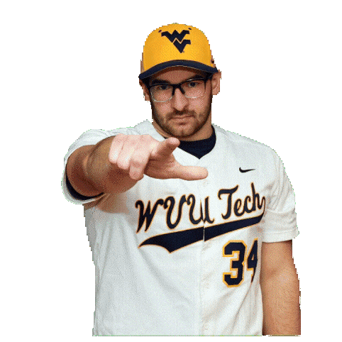 Baseball Sticker by WVU Tech Golden Bears