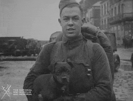 NationalWWIMuseum black and white puppy military footage GIF