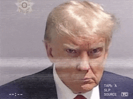 Trump Orange GIF