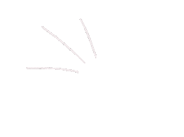 Shine Line Sticker by Fabricia Designer