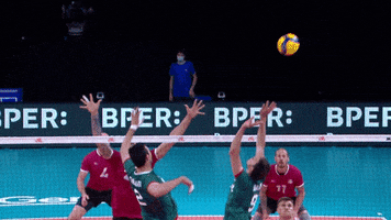 Shall Not Pass Canadian GIF by Volleyball World