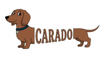 Animation Sticker by Carado GmbH