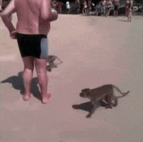 source: imgur.com