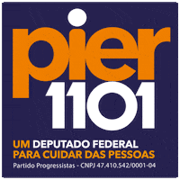 Deputado Eleicoes GIF by Pier Petruzziello