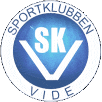 SK Vide Sticker