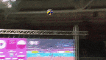 Shall Not Pass Take That GIF by Volleyball World