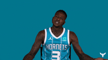 Get Loud Sport GIF by Charlotte Hornets