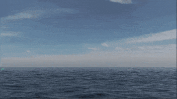 Cat GIF