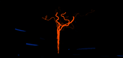 Drawing GIF
