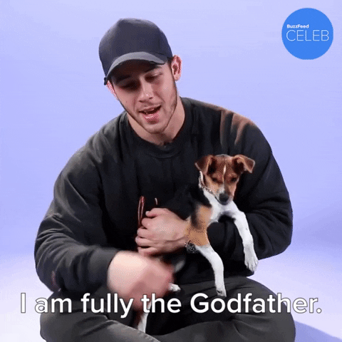 Nick Jonas Puppies GIF by BuzzFeed